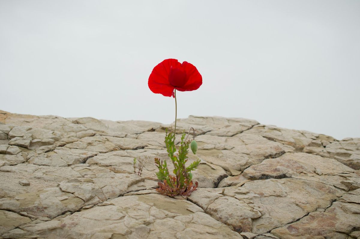 Ways to build growth mindset