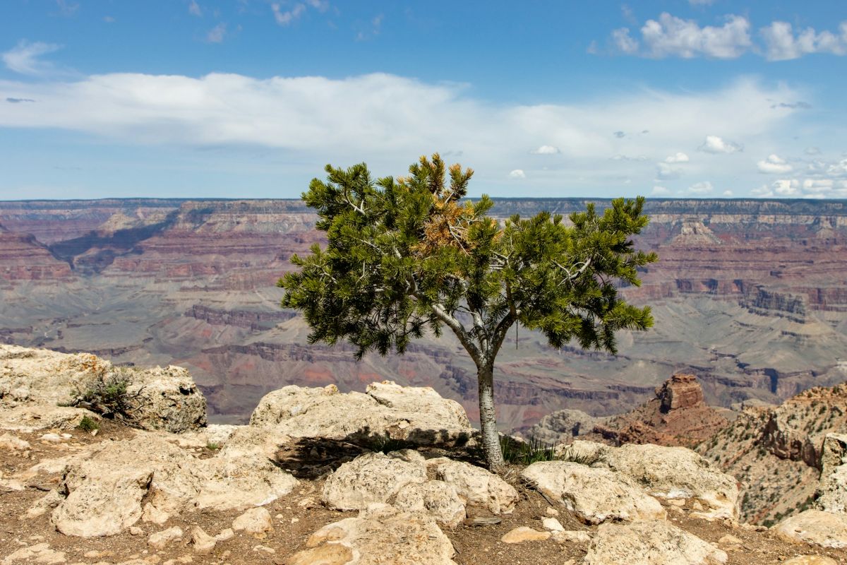 Ways to build a growth mindset